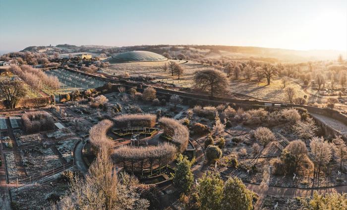Winter Garden